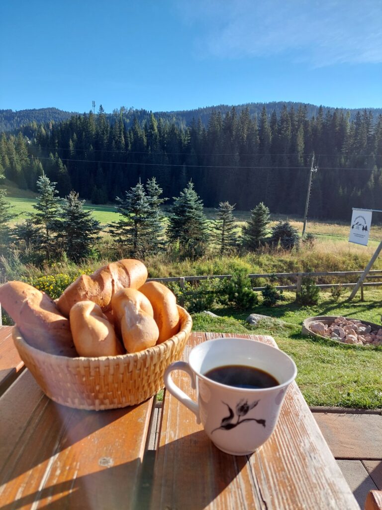 Terrasse Almhaus Kärnten