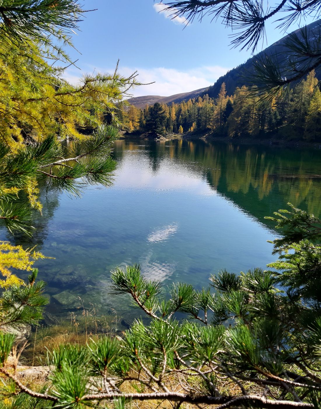 Almhütte Mirnig | Urlaub auf der Alm in Kärnten | Almhütte in Flattnitz mieten | Erholen und Erleben in Kärnten | Galerie 10 Almhütte Mirnig | Urlaub auf der Alm in Kärnten | Almhütte in Flattnitz mieten | Erholen und Erleben in Kärnten | Galerie 10
