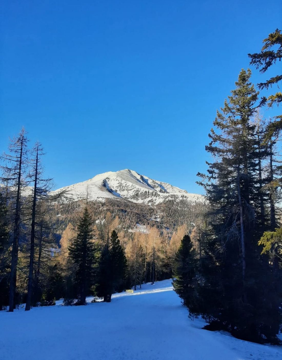 Almhütte Mirnig | Urlaub auf der Alm in Kärnten | Almhütte in Flattnitz mieten | Erholen und Erleben in Kärnten | Galerie 12 Almhütte Mirnig | Urlaub auf der Alm in Kärnten | Almhütte in Flattnitz mieten | Erholen und Erleben in Kärnten | Galerie 12