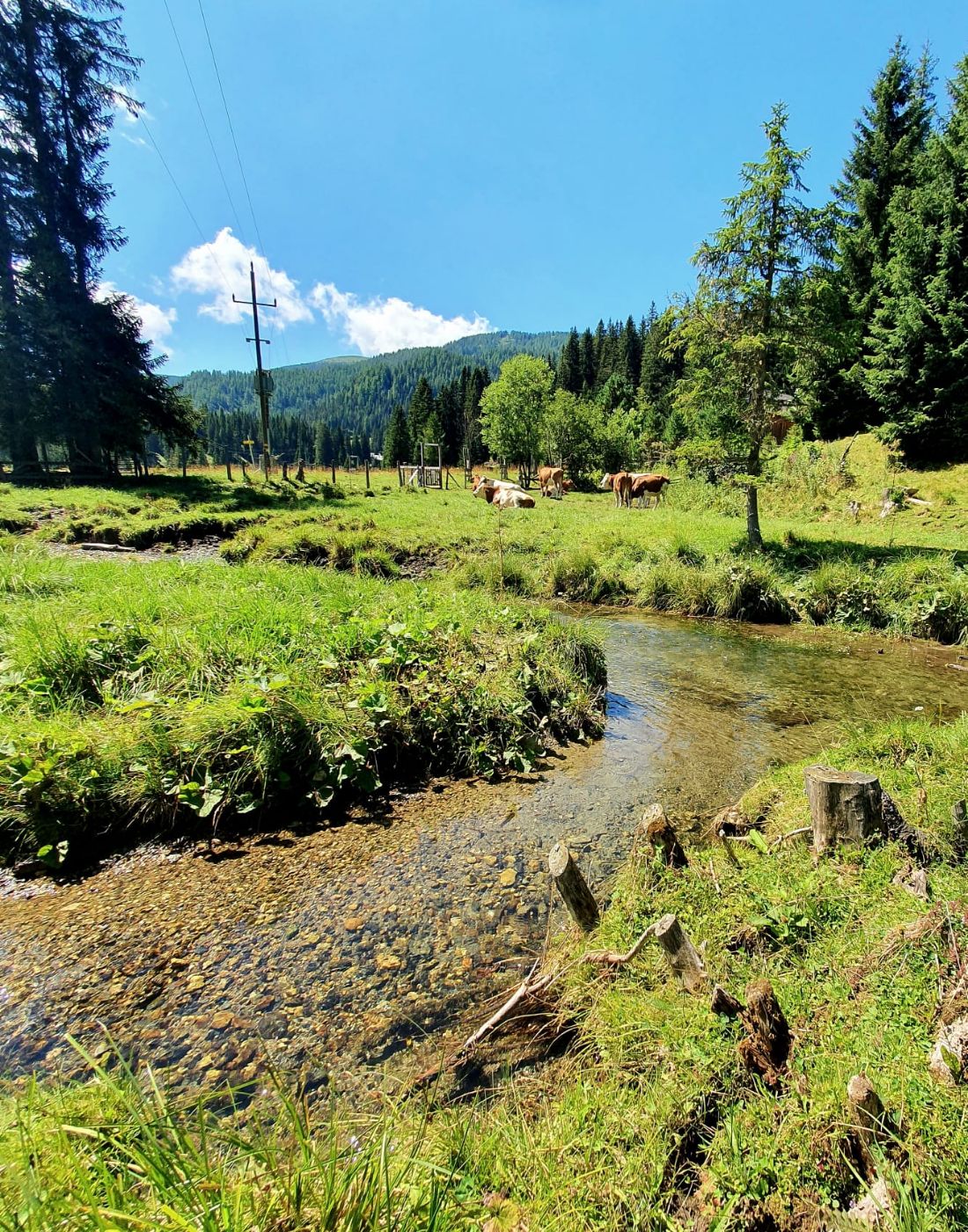 Almhütte Mirnig | Urlaub auf der Alm in Kärnten | Almhütte in Flattnitz mieten | Erholen und Erleben in Kärnten | Galerie 9 Almhütte Mirnig | Urlaub auf der Alm in Kärnten | Almhütte in Flattnitz mieten | Erholen und Erleben in Kärnten | Galerie 9