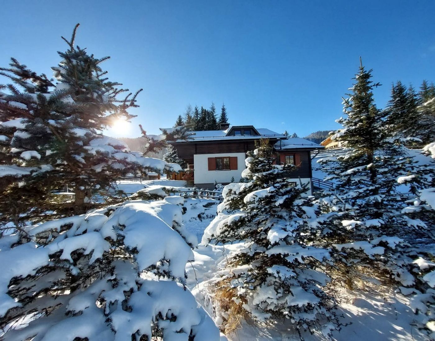 Almhütte Mirnig | Urlaub auf der Alm in Kärnten | Almhütte in Flattnitz mieten | Großer Garten mit Spielplatz und Gartenhütte und Sauna | Draussen Galerie 8