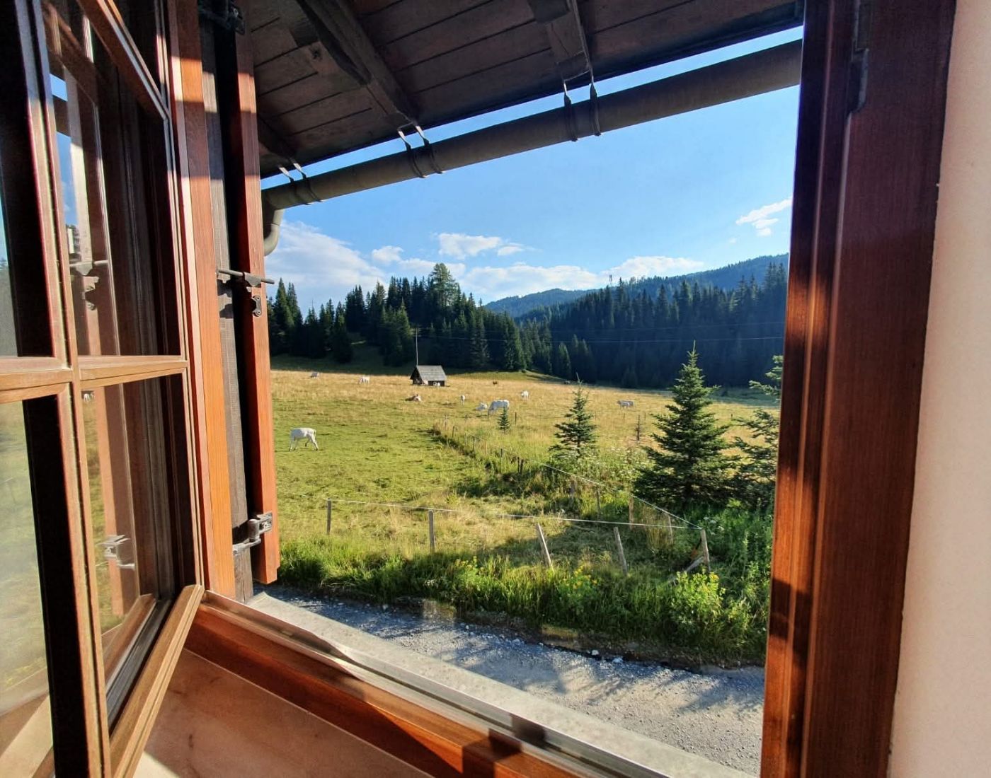 Almhütte Mirnig | Urlaub auf der Alm in Kärnten | Almhütte in Flattnitz mieten | Waldzimmer Fernblick Sommer