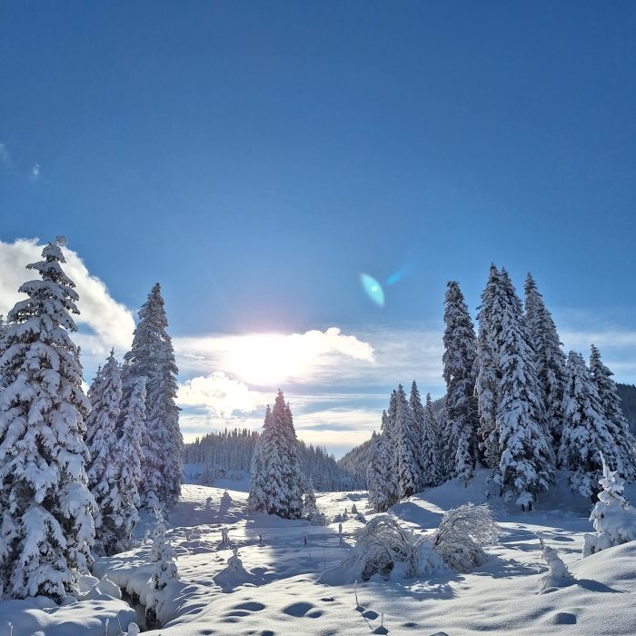 Ausblick Almhaus Kärnten